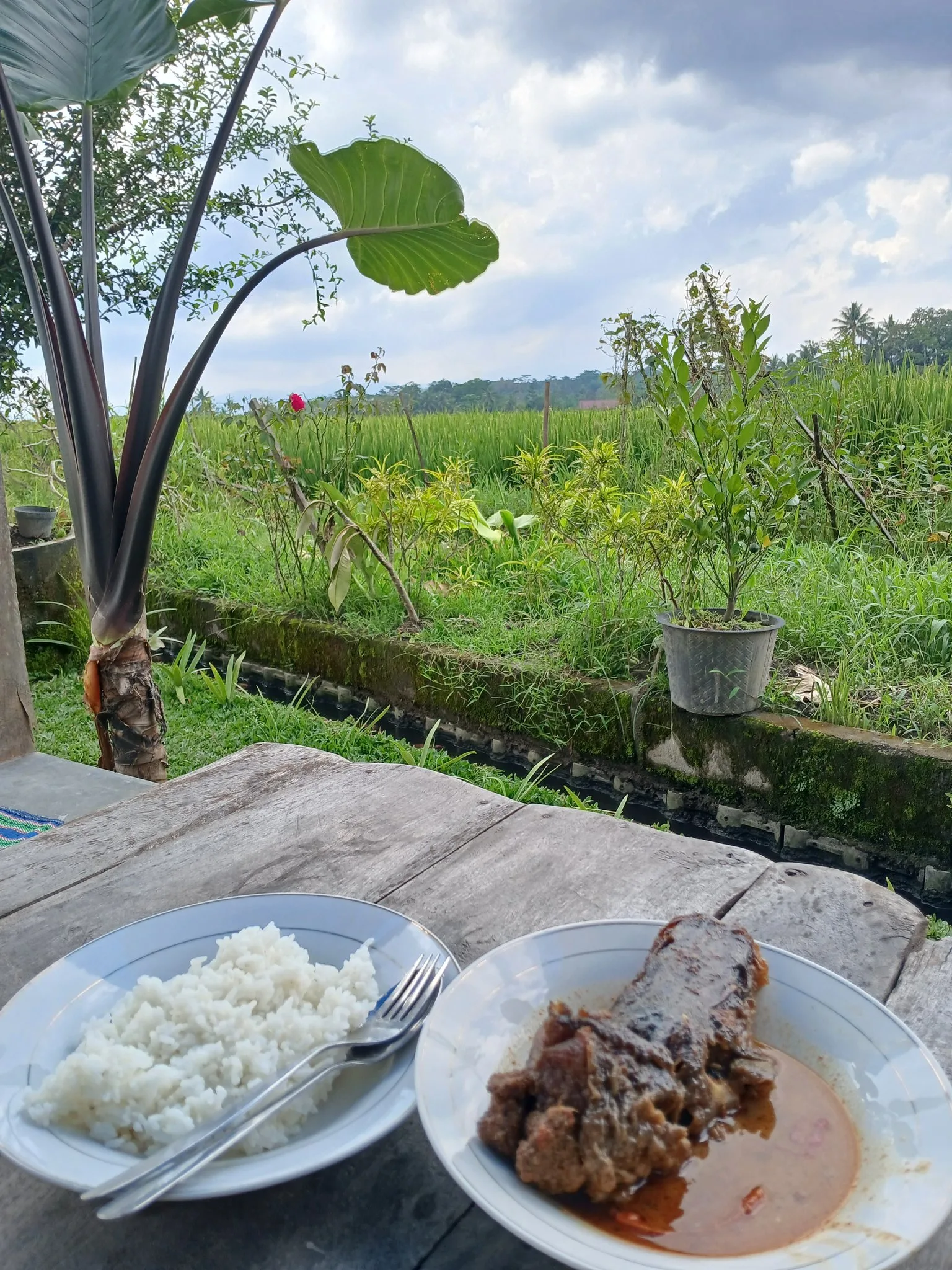 White rice with Mangut Beong overlooking a scenic countryside view