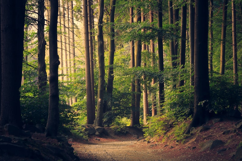 Adventure & Outdoors