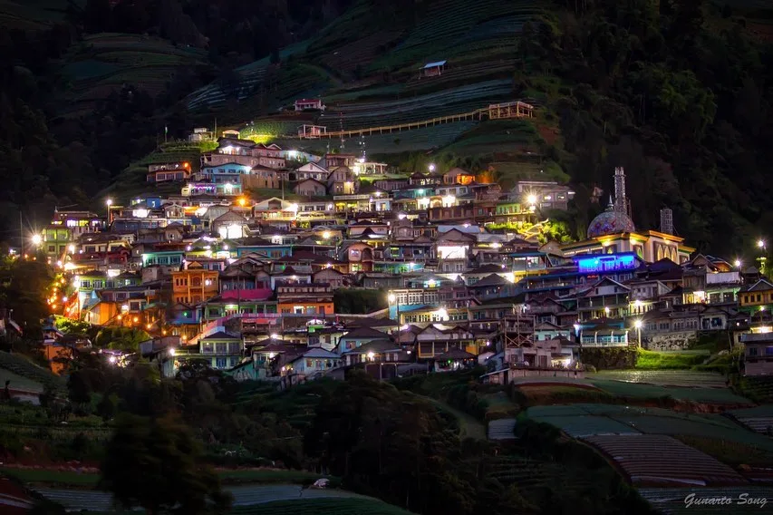 Green hillside panorama of Nepal Van Java with layered terraces below the summit