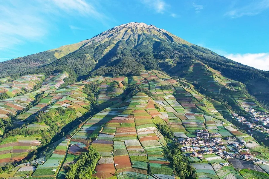 Open panorama of the Dusun Butuh landscape with Mount Sumbing behind the ridge