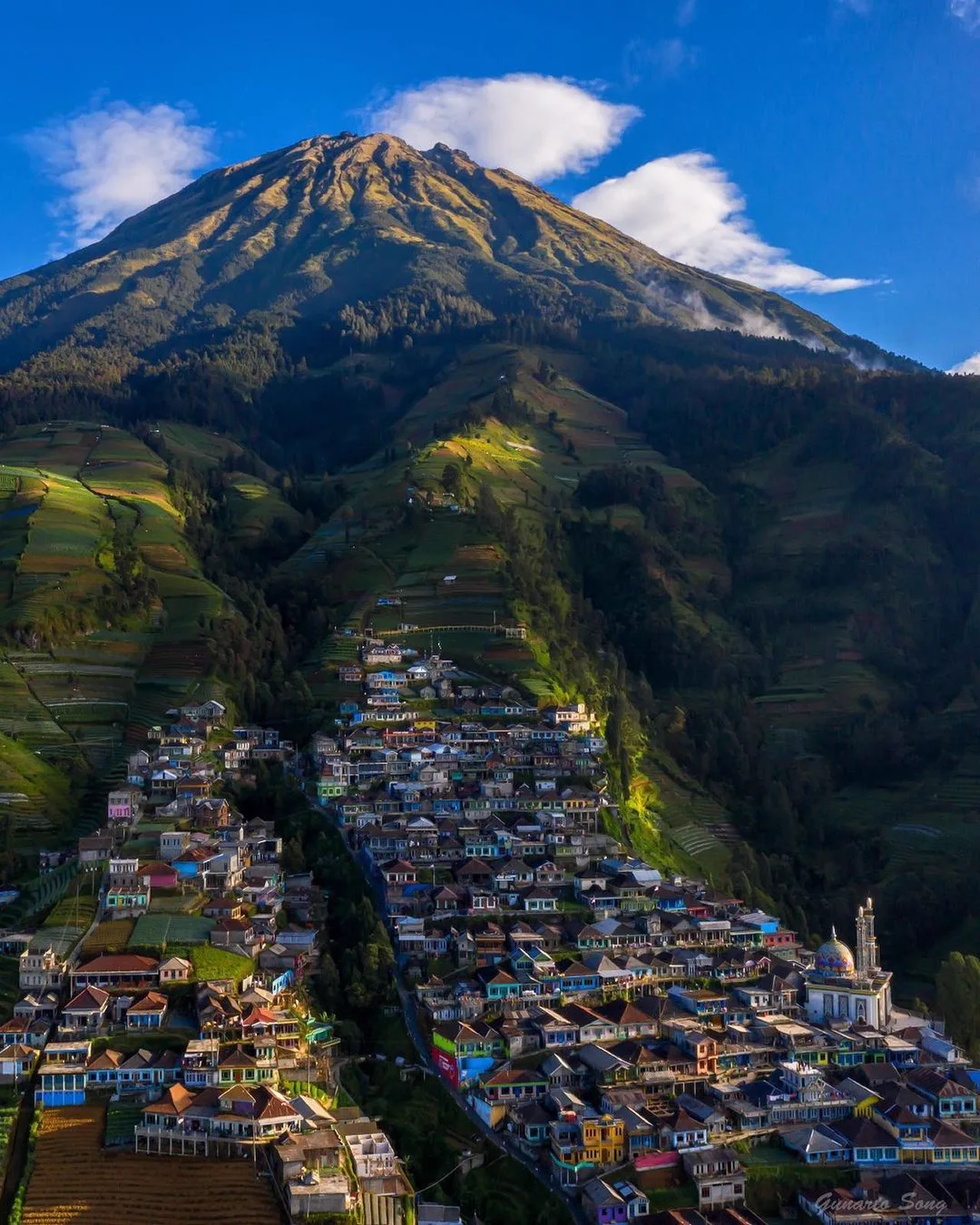 A hillside lane at Nepal Van Java framed by gardens and terraces