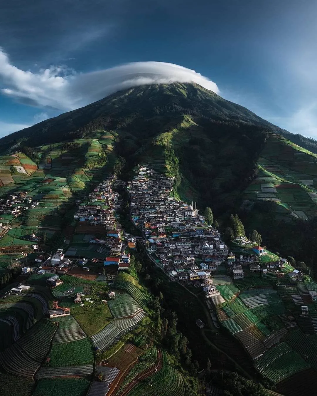 A narrow path between terraces at Nepal Van Java
