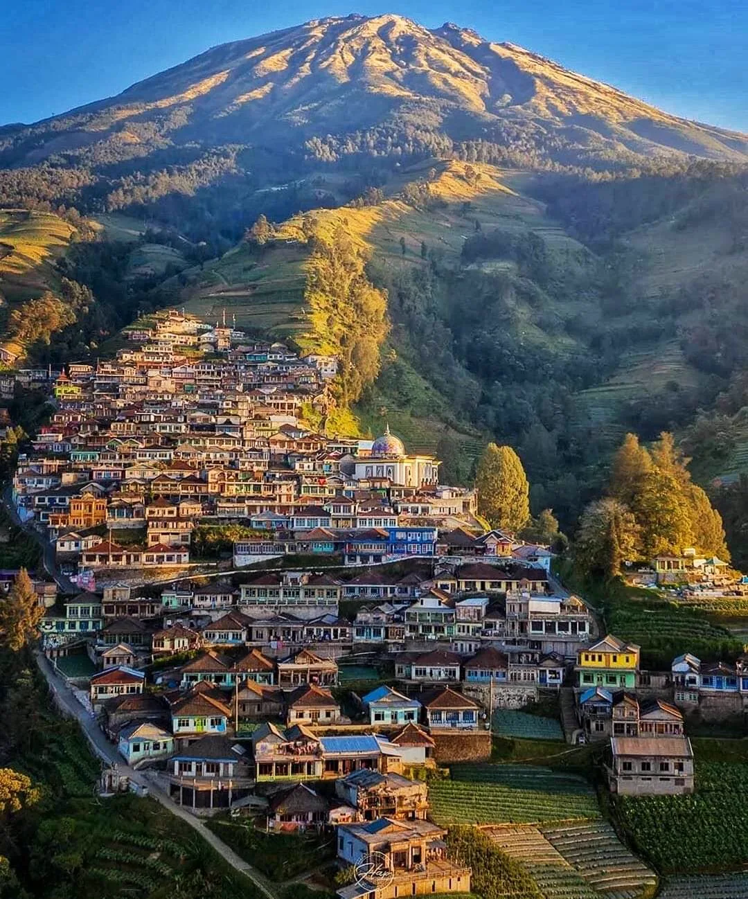 Terraced fields in the village of Dusun Butuh seen close up