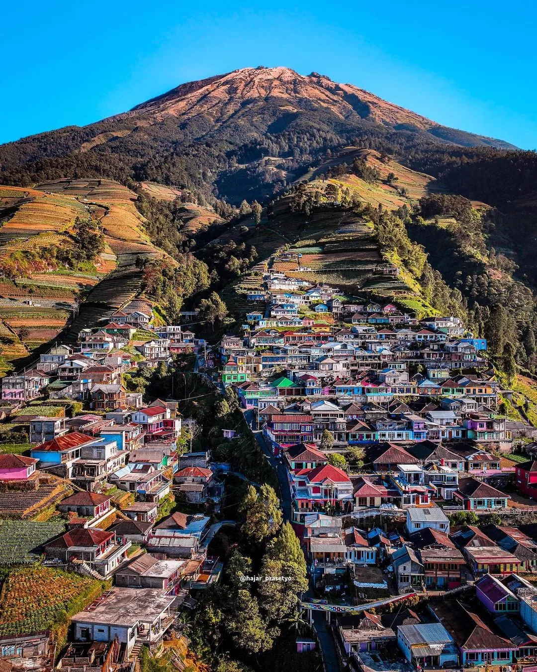 A shaded corner of the village at Nepal Van Java