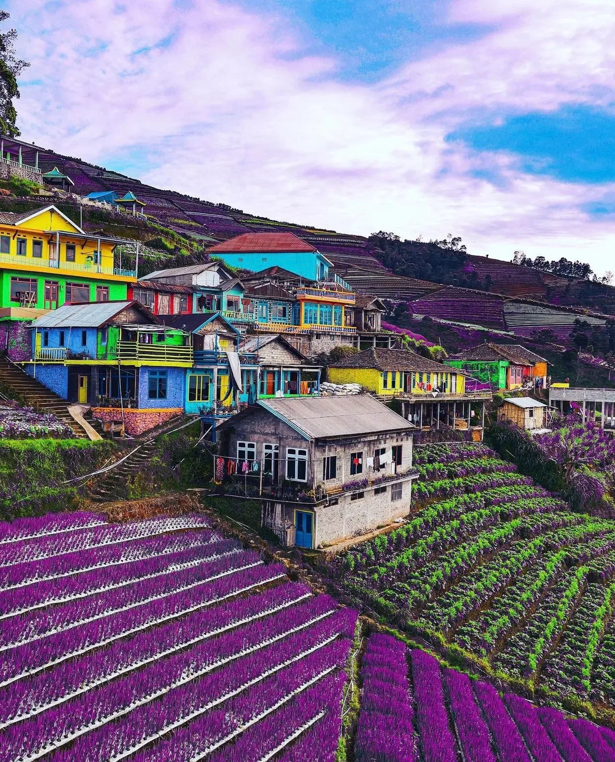 Terraces with crops in the foreground at Nepal Van Java