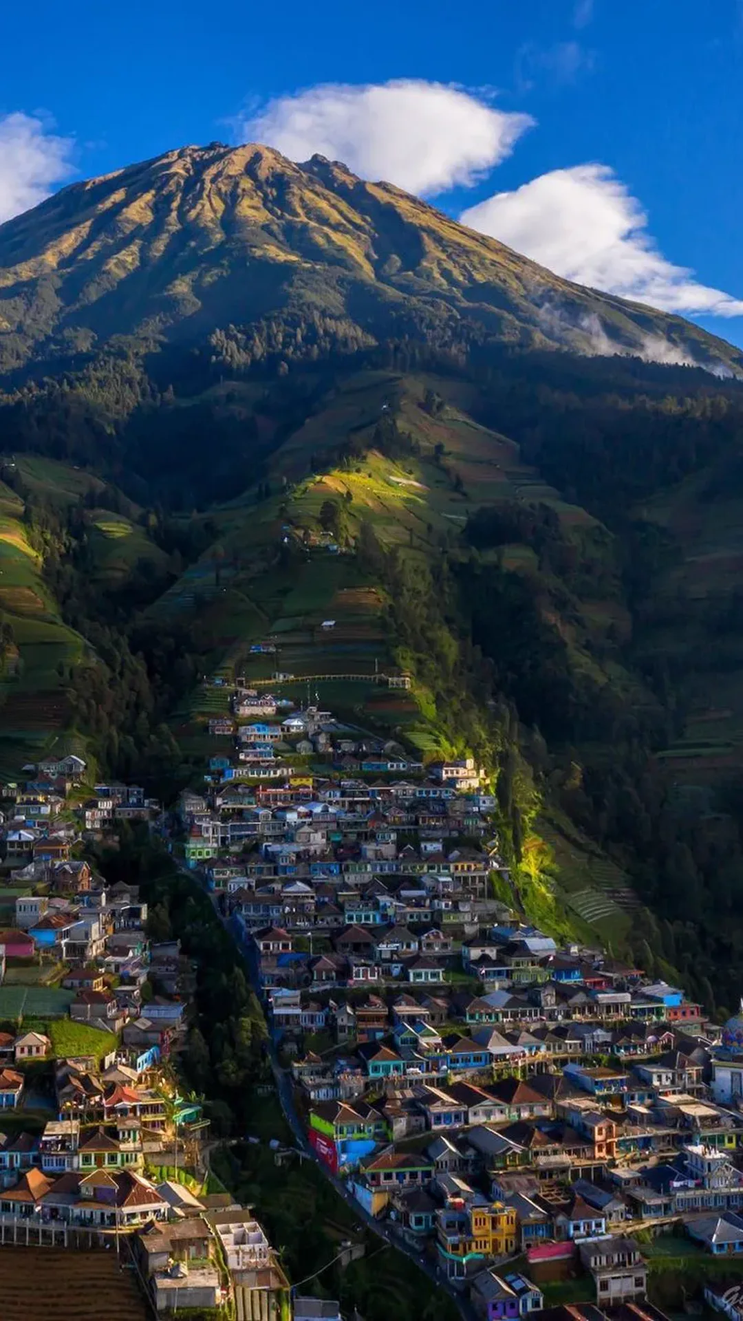 Mobile wallpaper of a hillside lane at Nepal Van Java framed by gardens