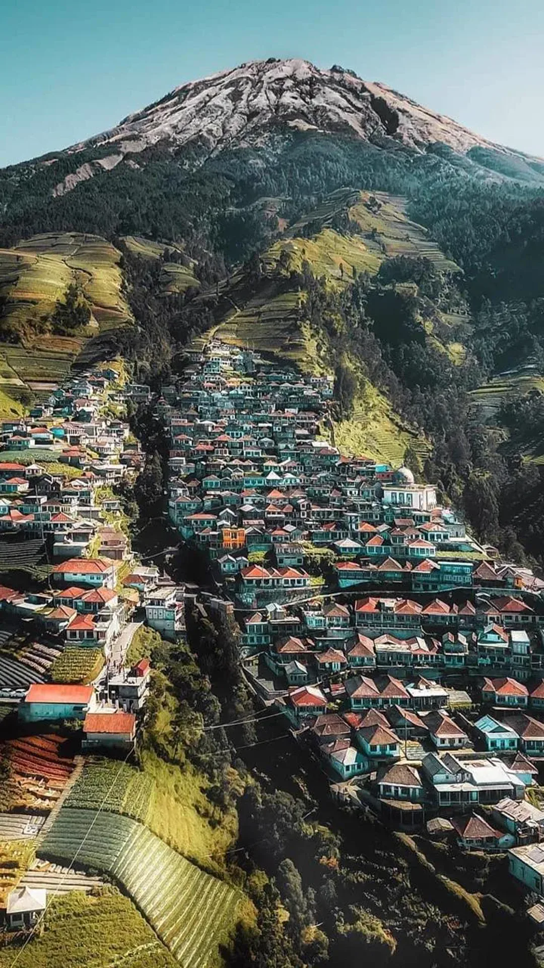 Wallpaper of houses and trees along a path in the Dusun Butuh highlands