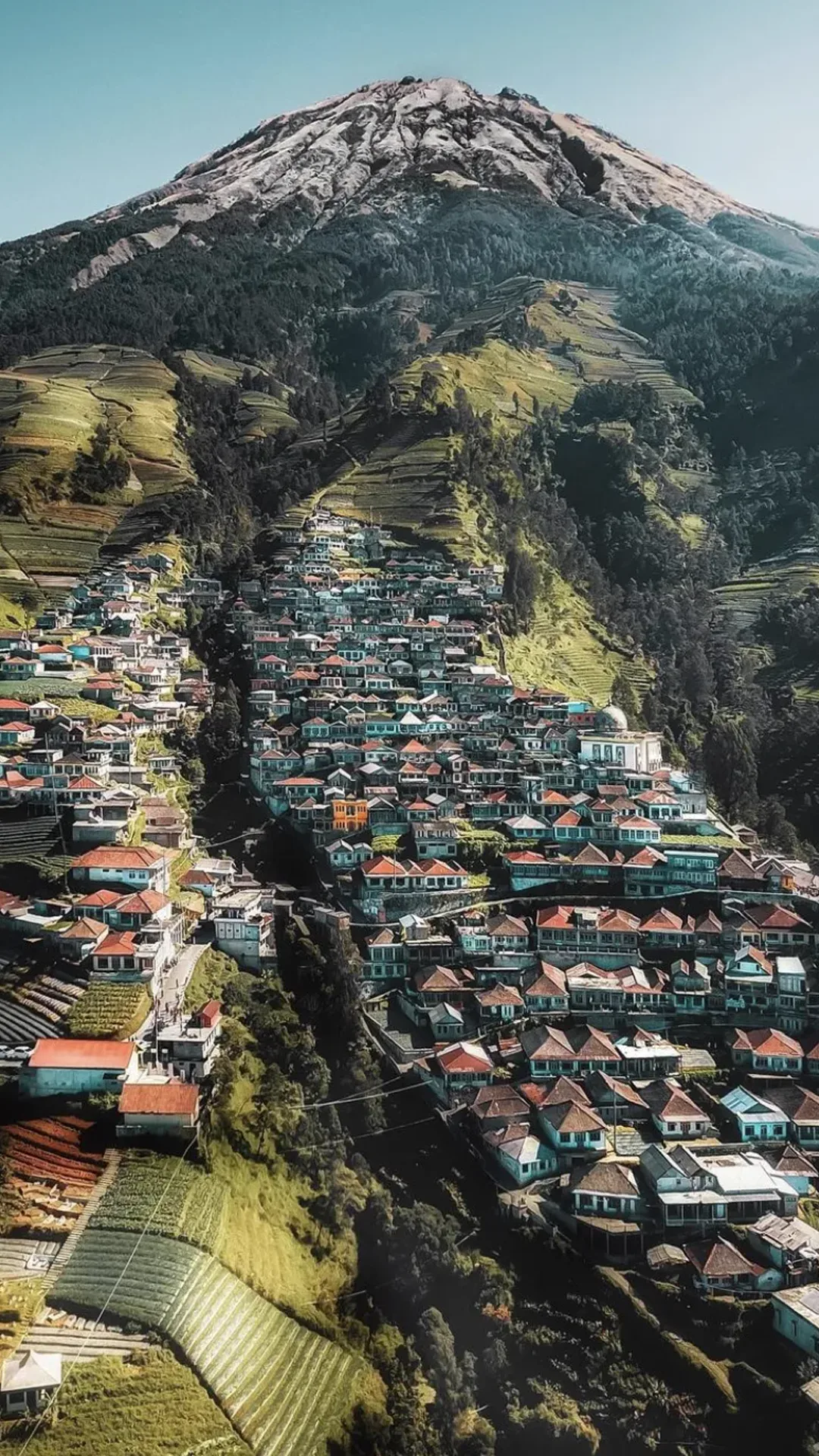 Phone wallpaper of rooftops and terraces catching late light at Dusun Butuh