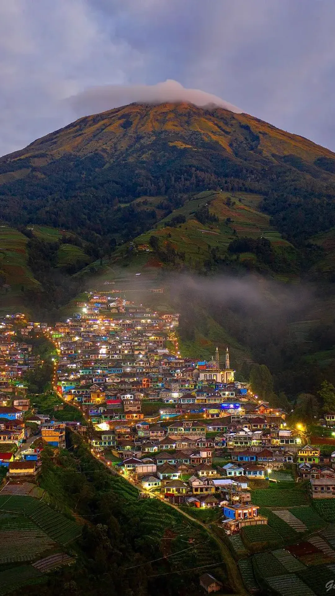 Mobile wallpaper of vegetables growing in a terraced plot at Nepal Van Java