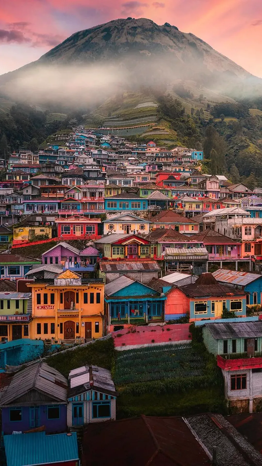 Wallpaper of a pathway and gate at the edge of the village at Nepal Van Java