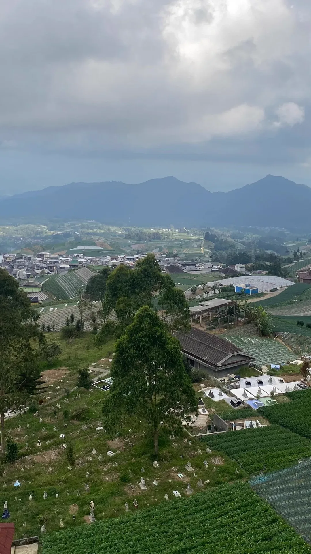 Wallpaper of the full hillside of Nepal Van Java with Mount Sumbing behind
