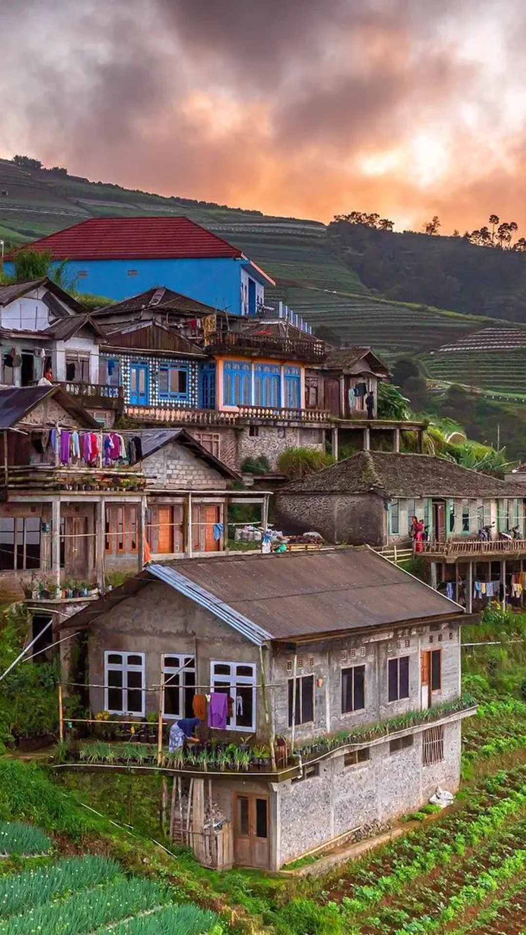 Nepal Van Java phone wallpaper of a village square ringed by terraces